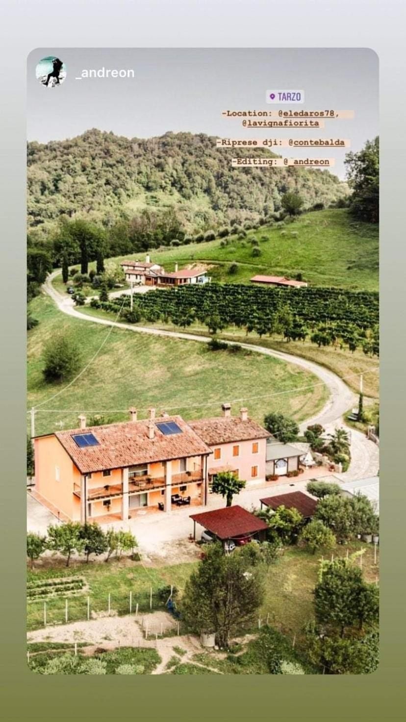 La Vigna Fiorita B&B Tarzo Eksteriør bilde